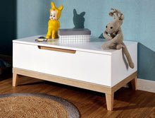 Load image into Gallery viewer, Archie Toy box - Classic Designs