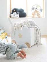Load image into Gallery viewer, Mobile Storage Box - Classic Designs